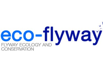Eco-Flyway – Seguimento de Aves Marcadas